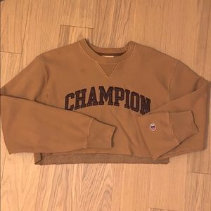 Cropped champion sweatshirt